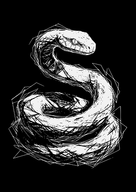 White Snake Illustration on Black Background