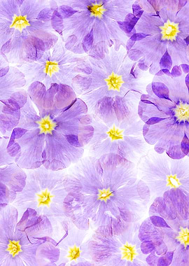 Purple and Yellow Floral Pattern