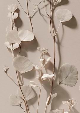 Delicate Dried Eucalyptus Branches