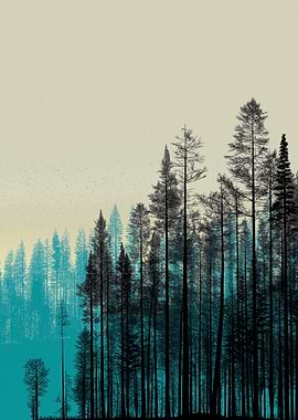 Misty Forest Silhouette