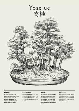 Bonsai Tree Arrangement Illustration Yose ue