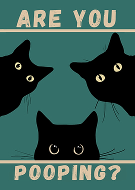 Fat Cats Toilet are you pooping