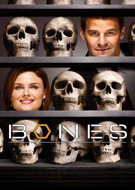 Bones TV Show Poster