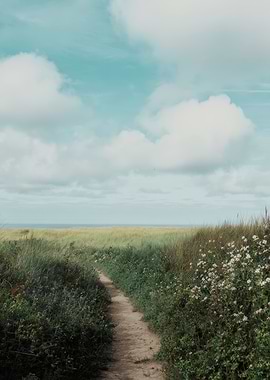 Path through a blooming meadow to the sea