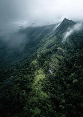 Misty Mountain Ridge with Lush Forest