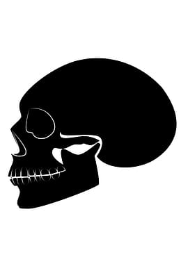 Skull black color isolated on the white background side view