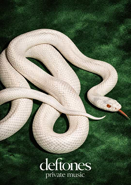 Deftones Private Music