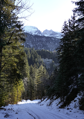 Snowy Forest Path with Mountains