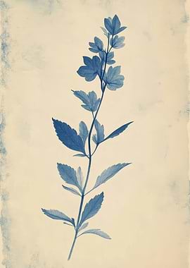 Blue Cyanotype Botanical Print Antique Timothy Grass Botanical I llustration Wall Art