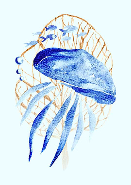Jellyfish and Fish in Net
