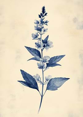 Blue Botanical Illustration of a Plant | Vintage Timothy Grass Botanical Wall Art