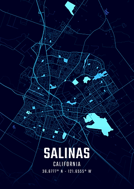 Salinas California Midnight City Map