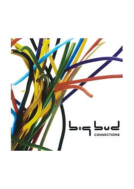 Big Bud Connections Abstract Art