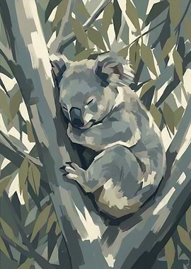 Sleeping Koala in Eucalyptus Tree