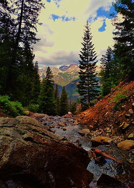 Mountain Stream and Forest Landscape