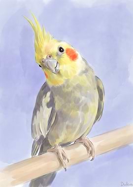 Watercolor Cockatiel