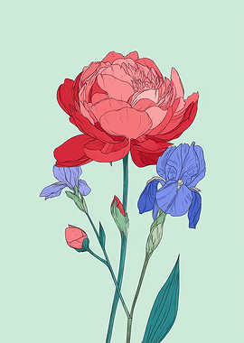 Peony and Irises Floral Illustration