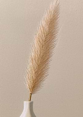 Pampas Grass in a White Vase