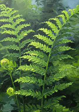 Vibrant Fern Fronds in Forest