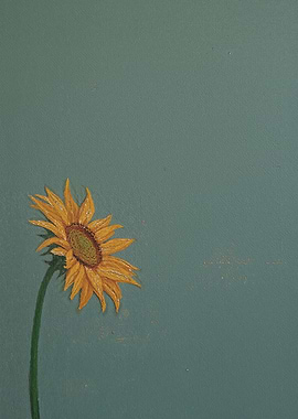 Single Sunflower on Teal Background