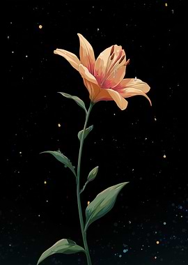 Orange Lily with Water Droplets