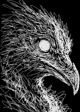 Scribbled Eagle Portrait