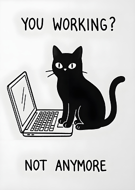 Cat interrupting work on laptop