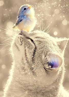 Bird on a Snowy Cat