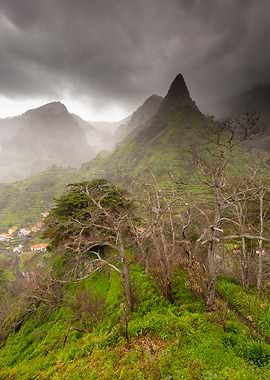 Misty Mountain Village Landscape