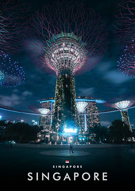 Singapore Supertrees at Night