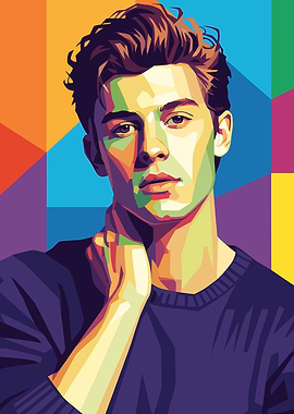 Pop Art of Shawn Mendes
