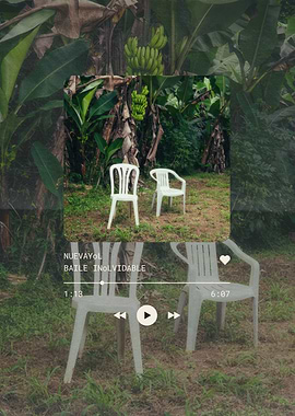 Music Player with Tropical Background