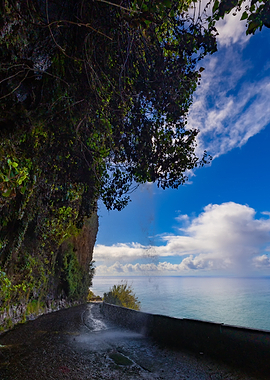 Coastal Road with Ocean View, Madeira