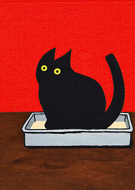 Black Cat in Litter Box