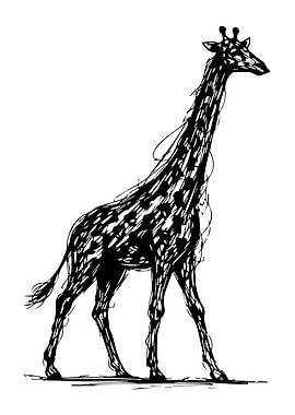 Sketch of a Giraffe