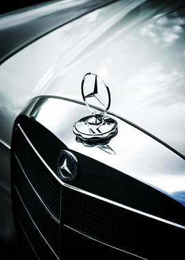 Mercedes-Benz Ornament Poster