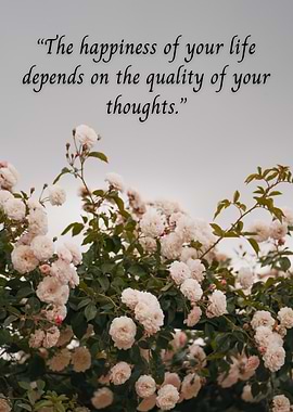Inspirational quote with roses