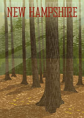 New Hampshire Forest Landscape