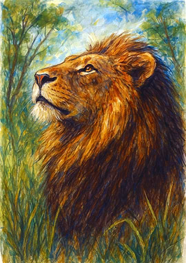 Majestic Lion in Nature