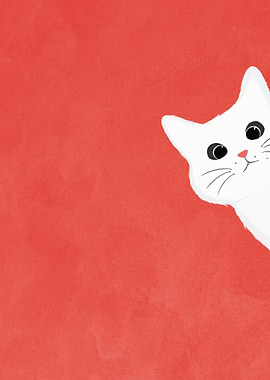 Peeking White Cat on Red Background