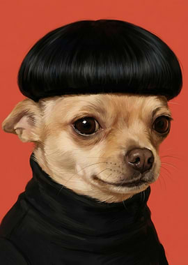 The Minimalist Chihuahua