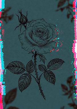 Rose Illustration