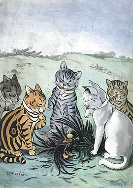 Cats gathered around a dead bird