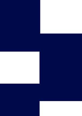 Abstract Navy and White Geometric Design