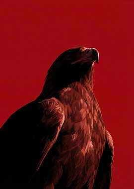 Eagle on Red Background