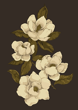 Magnolia Flowers on Dark Background