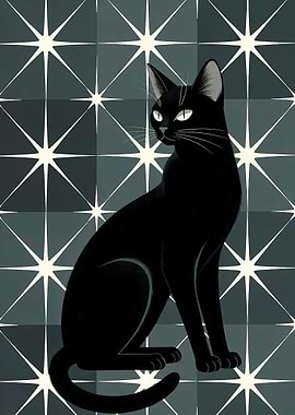 Black Cat on Star Pattern Background
