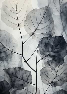 Monochromatic X-Ray Leaves