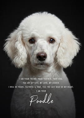 I Am Your Poodle Dog Quote