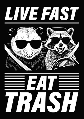 Raccoon and Opossum Driving